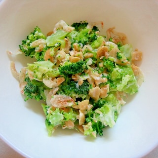 茹でて柔らかくなったブロッコリーレシピ 作り方の人気順 簡単料理の楽天レシピ